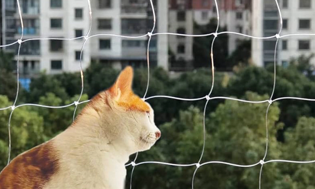 Kedi Koruma Filesi 3